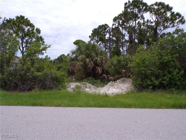 15126 Amsterdam Ave, Port Charlotte, FL 33981 - photo 1