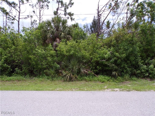 10416 Sarasota Rd, Port Charlotte, FL 33981 - photo 5