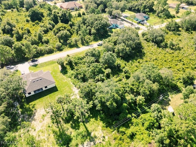404 Thompson Ave, Lehigh Acres, FL 33972 - photo 13
