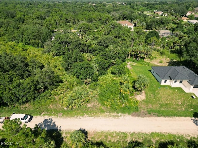 404 Thompson Ave, Lehigh Acres, FL 33972 - photo 14