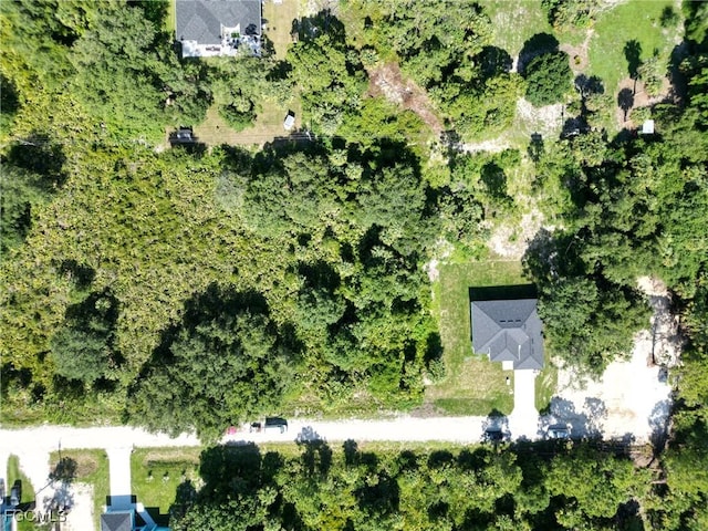 404 Thompson Ave, Lehigh Acres, FL 33972 - photo 3