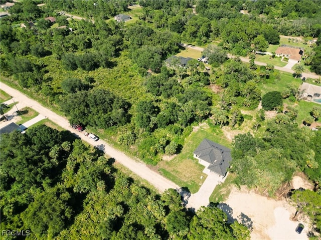 404 Thompson Ave, Lehigh Acres, FL 33972 - photo 4