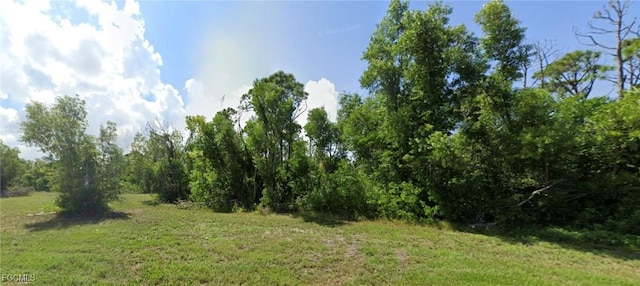 3928 NW 46th Ter, Cape Coral, FL 33993 - photo 10