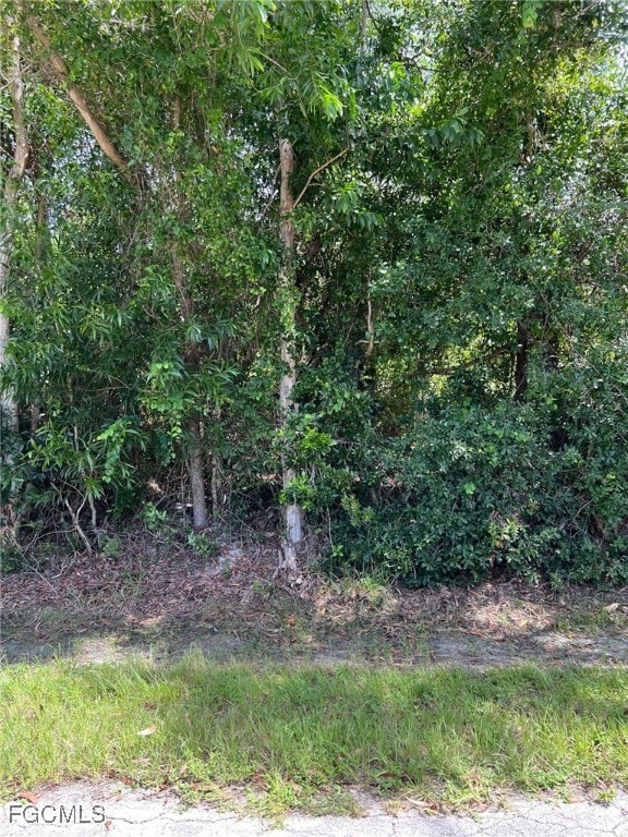 5582 Henley St, Bokeelia, FL 33922 - photo 2