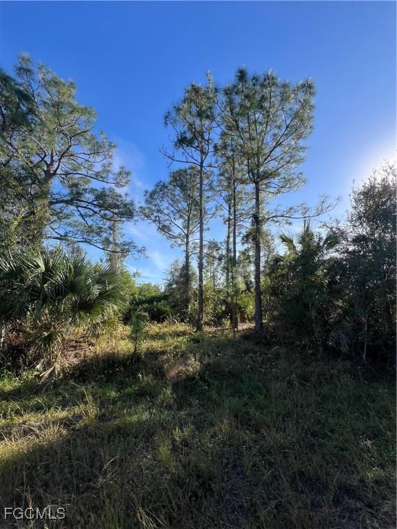 900 E 9th St, Lehigh Acres, FL 33972 - photo 2