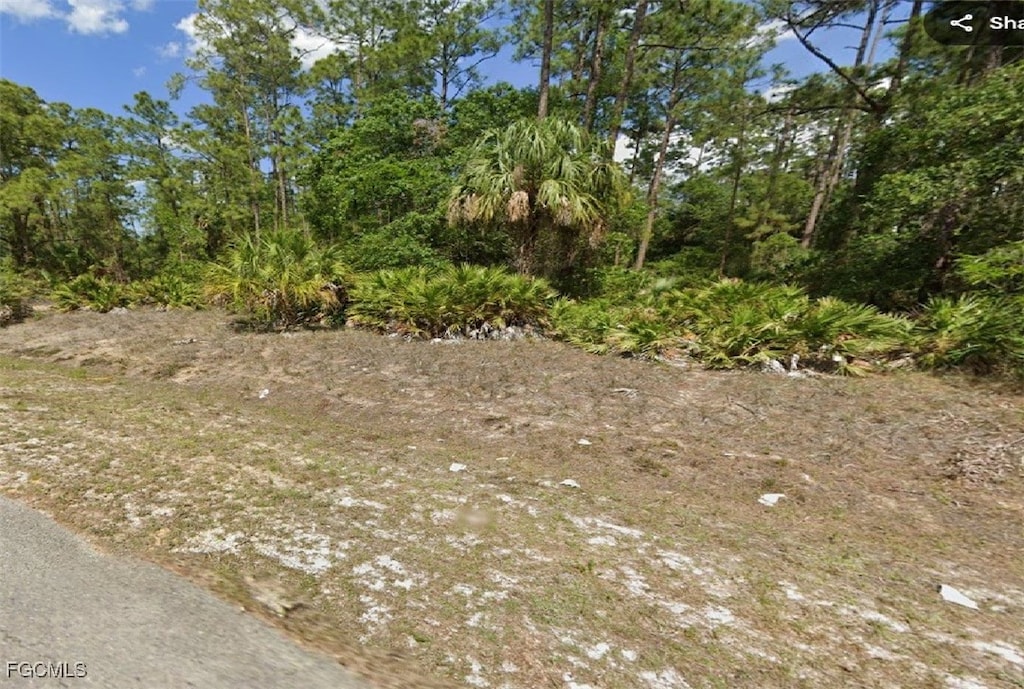 10 Truman Ave, Lehigh Acres, FL 33936 - photo 1
