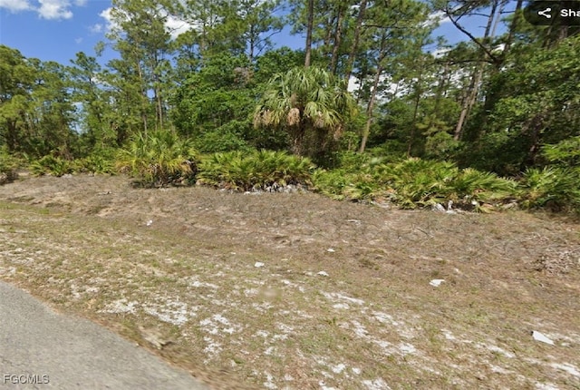 10 Truman Ave, Lehigh Acres, FL 33936 - photo 1