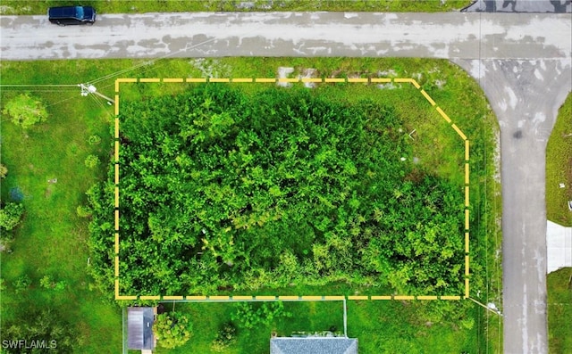 3200 14th St W, Lehigh Acres, FL 33971 - photo 4