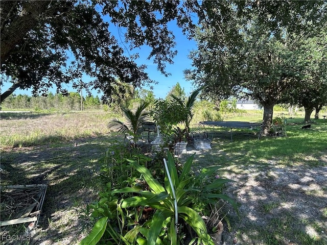 926 Plantation Rd, Lehigh Acres, FL 33974 - photo 9