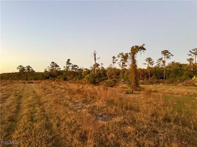Secretariat Dr, Labelle, FL 33935 - photo 3