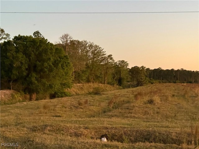 Secretariat Dr, Labelle, FL 33935 - photo 4
