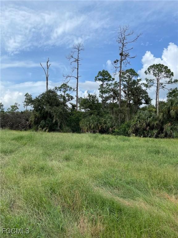 Secretariat Dr, Labelle, FL 33935 - photo 6