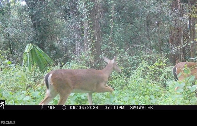 Secretariat Dr, Labelle, FL 33935 - photo 8