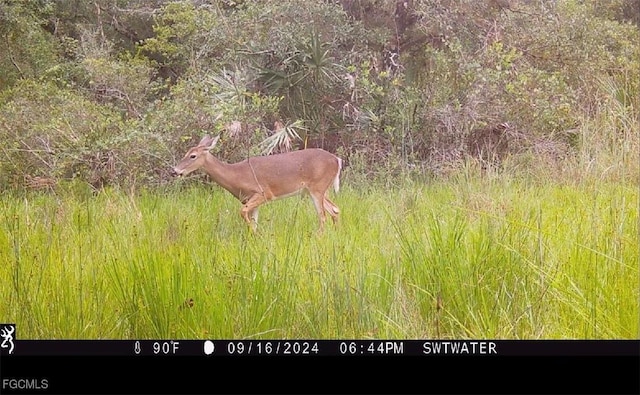 Secretariat Dr, Labelle, FL 33935 - photo 11
