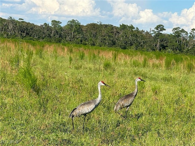 Secretariat Dr, Labelle, FL 33935 - photo 12
