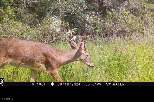 Secretariat Dr, Labelle, FL 33935 - photo 14