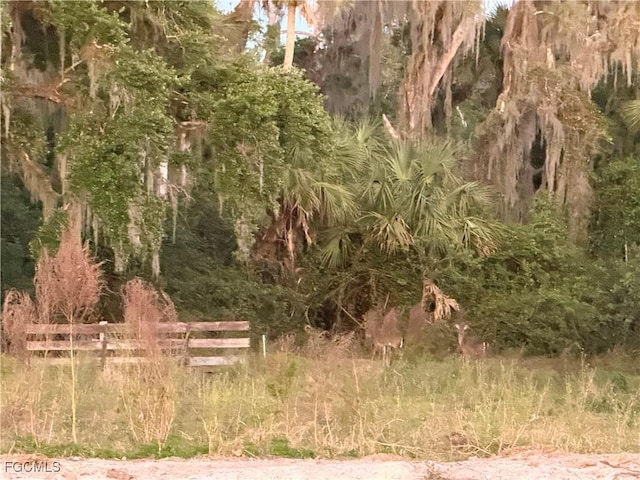 Secretariat Dr, Labelle, FL 33935 - photo 19