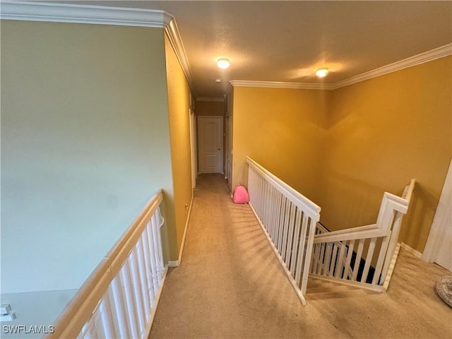 8543 Pegasus Dr, Lehigh Acres, FL 33971 - photo 5