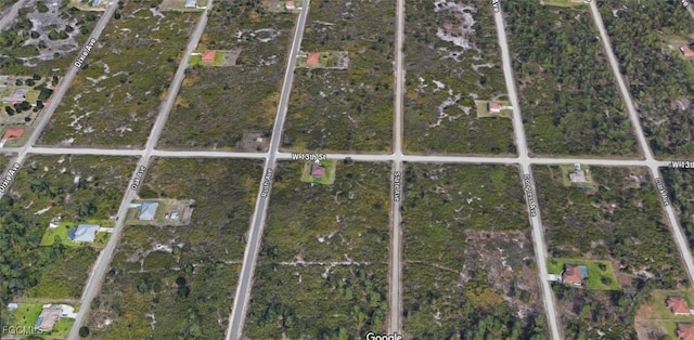 1600 W 13th St, Lehigh Acres, FL 33972 - photo 4