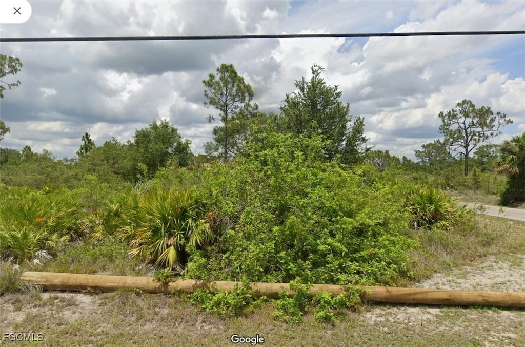 301 W 15th St, Lehigh Acres, FL 33972 - photo 1