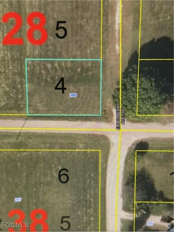 300 Elderberry Ave NW, Moore Haven, FL 33471 - photo 2