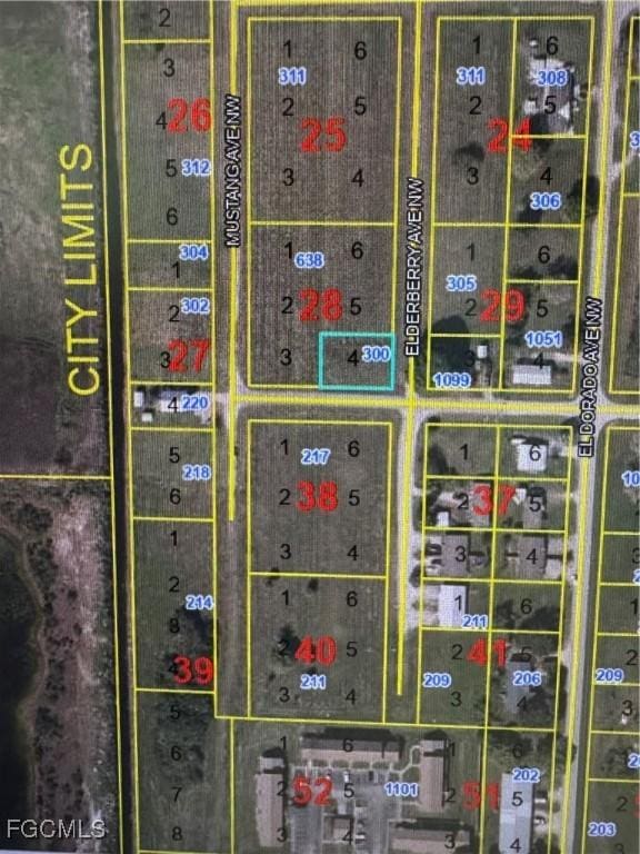 300 Elderberry Ave NW, Moore Haven, FL 33471 - photo 1