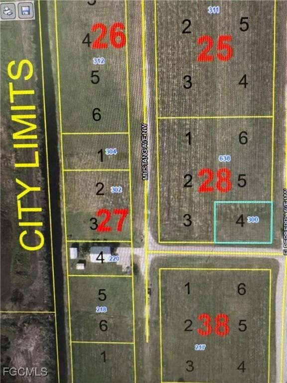 300 Elderberry Ave NW, Moore Haven, FL 33471 - photo 3