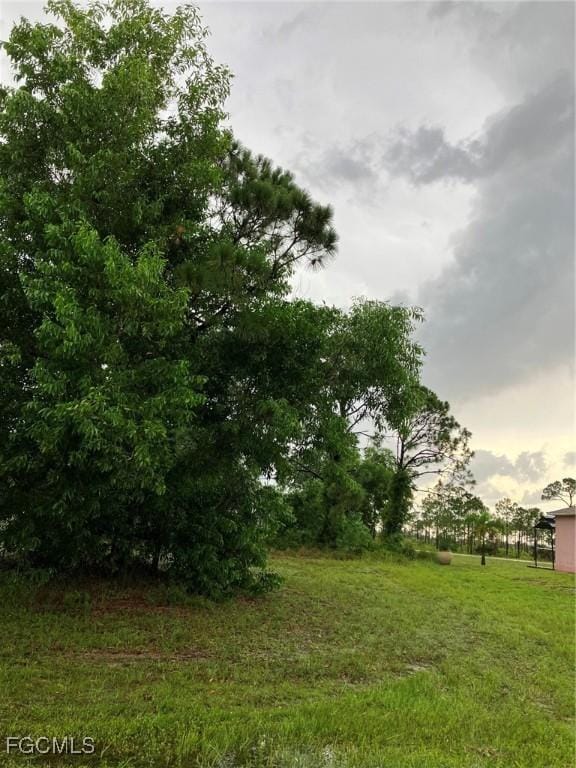 4744 NW 40th Ave, Cape Coral, FL 33993 - photo 5