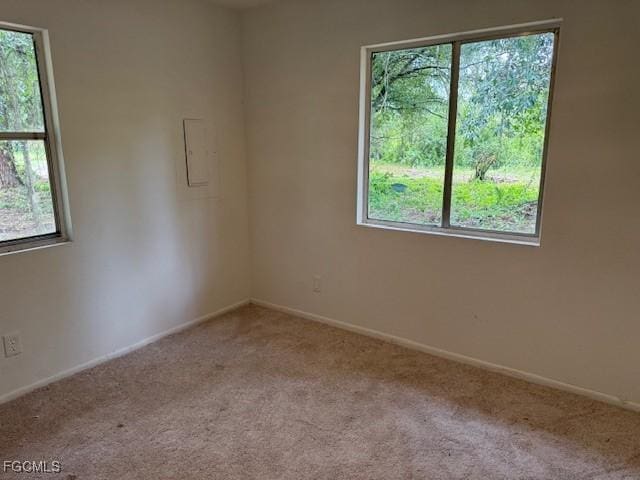 5251 Pioneer 15th St, Clewiston, FL 33440 - photo 4