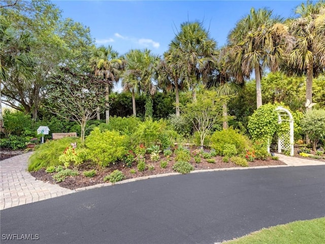 21024 Torre Del Lago St, Estero, FL 33928 - photo 47