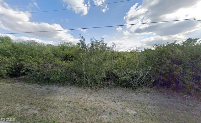3117 32nd St SW, Lehigh Acres, FL 33976 - photo 2
