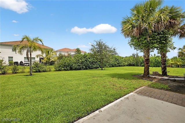 4173 Madison St, Ave Maria, FL 34142 - photo 26