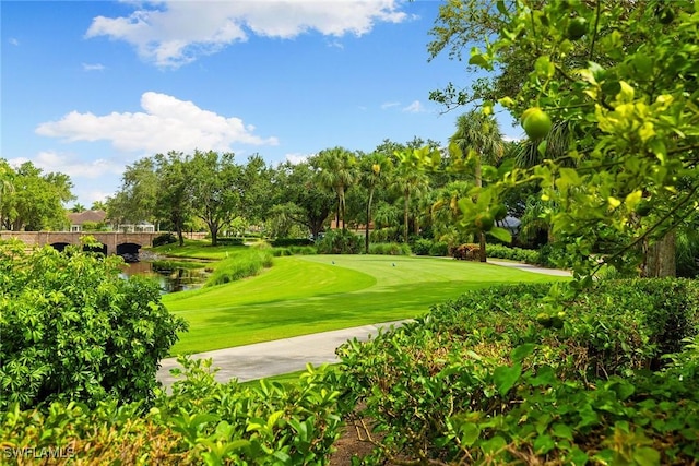 7004 Verde Way, Naples, FL 34108 - photo 34