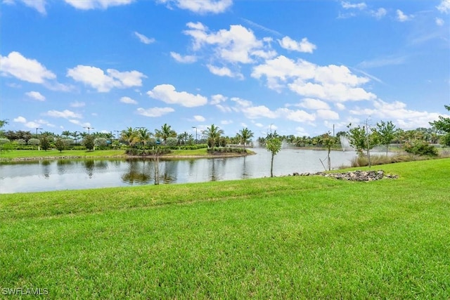 16520 Seagate Pl, Bonita Springs, FL 34135 - photo 30