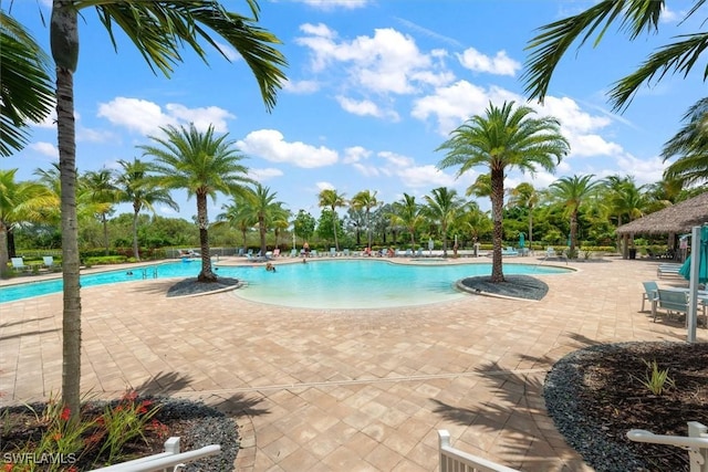 16520 Seagate Pl, Bonita Springs, FL 34135 - photo 31