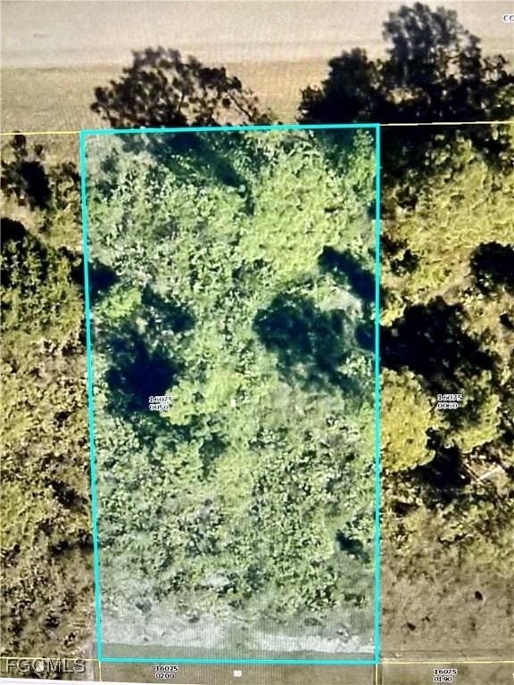 1114 Colonial St E, Lehigh Acres, FL 33974 - photo 1