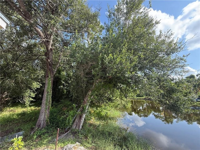 20598 Applewood Rd, North Fort Myers, FL 33917 - photo 1