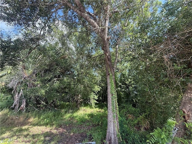 20598 Applewood Rd, North Fort Myers, FL 33917 - photo 4
