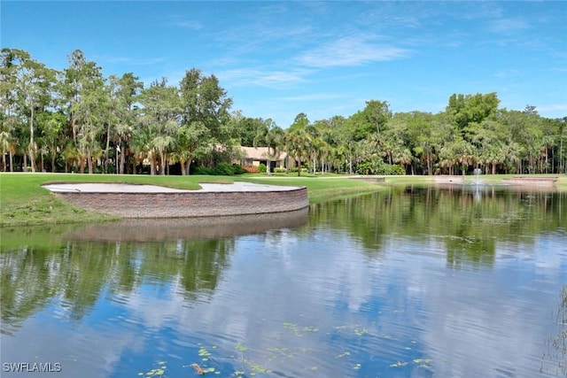 12626 Hunters Ridge Dr, Bonita Springs, FL 34135 - photo 28