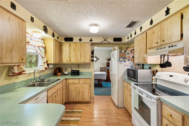 19085 Coconut Rd, Fort Myers, FL 33967 - photo 13