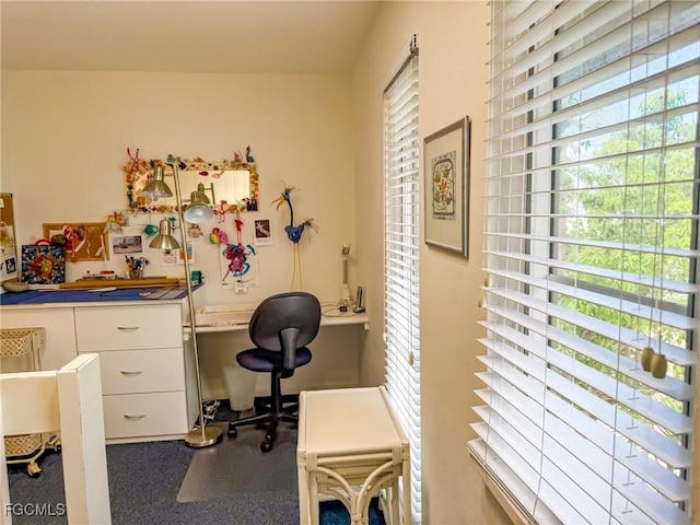 25 Urchin Ct, Captiva, FL 33924 - photo 34