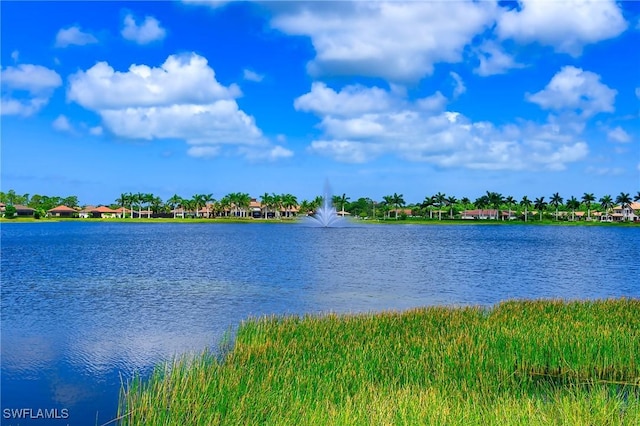 1339 Kendari Ter, Naples, FL 34113 - photo 26