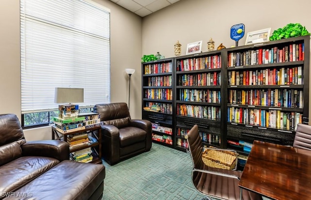 1339 Kendari Ter, Naples, FL 34113 - photo 34