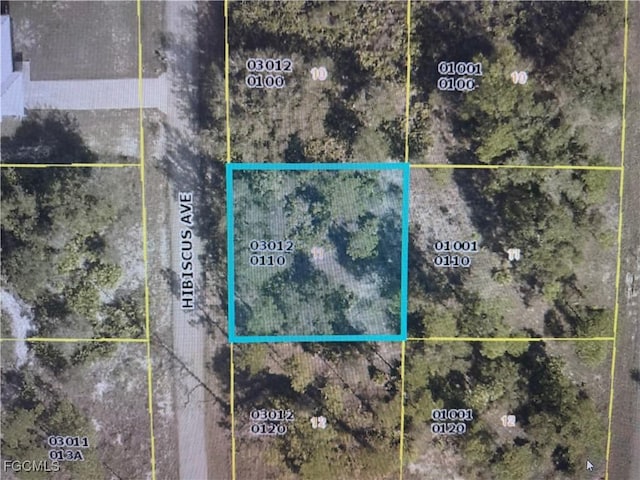 1602 Hibiscus Ave, Lehigh Acres, FL 33972 - photo 1