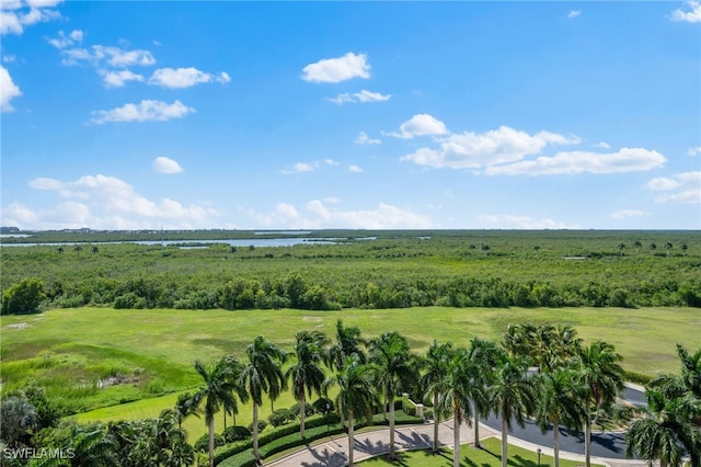 1050 Borghese Ln # 902, Naples, FL 34114 - photo 17