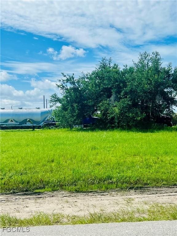 1011 Ceitus Ter, Cape Coral, FL 33991 - photo 1