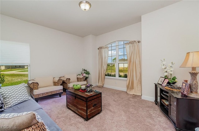 4445 NE Connection Ave, Cape Coral, FL 33909 - photo 8