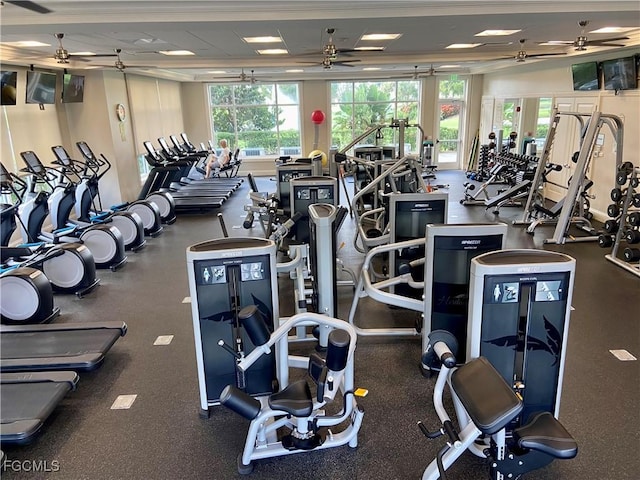 8096 Queen Palm Ln Unit 217, Fort Myers, FL 33966 - photo 47