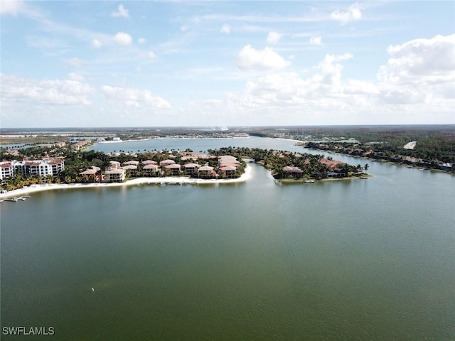 10050 Valiant Ct Unit 201, Miromar Lakes, FL 33913 - photo 7