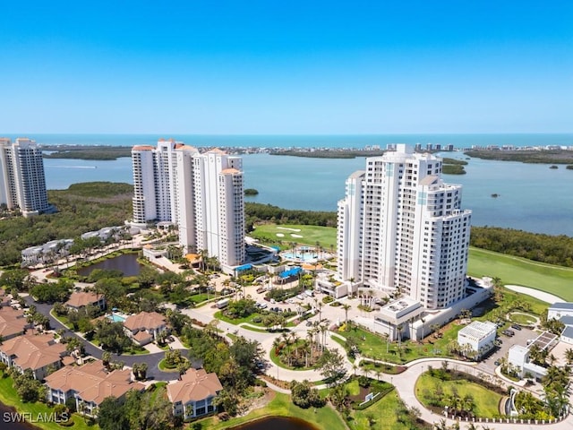4971 Bonita Bay Blvd Unit 1803, Bonita Springs, FL 34134 - photo 35